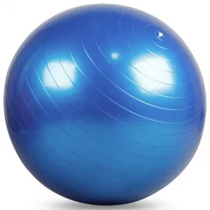 Wealis Fitness Ball – Palla di stabilità per allenamento completo del corpo